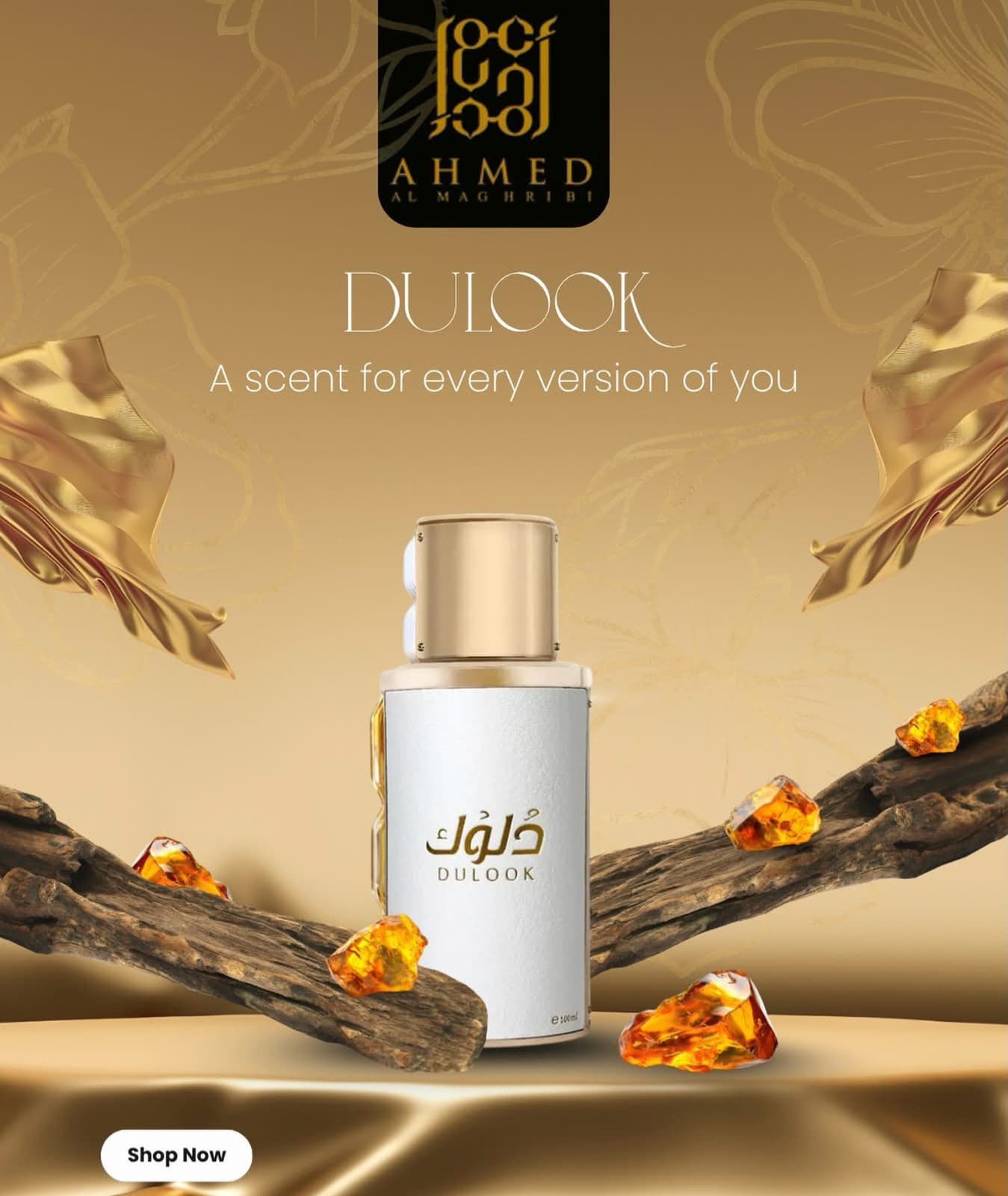 Dulook by Ahmad